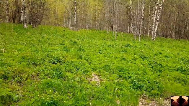 Карелия.Ладога.шхеры 7525г.залив Мёклахти. часть№ 2 смотреть онлайн