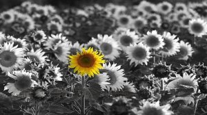 От улыбки хмурый день светлей // Ulybka  // Улыбка //  Russian Children Songs