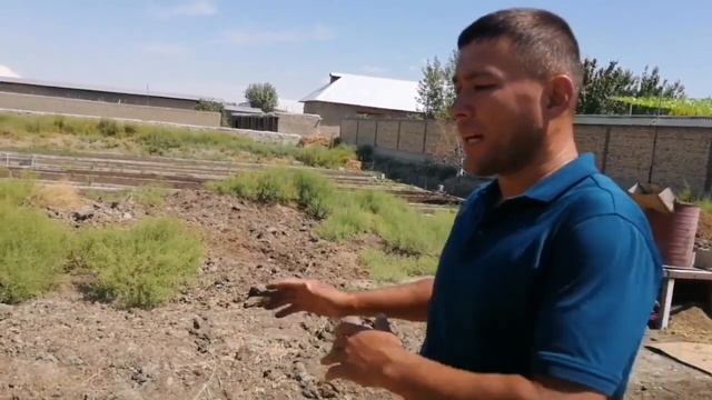 БУХОРО КОРАКУЛ/ИЛХОМ БАРОТОВ/ТЕЗКОР/JONDOR UZ смотреть онлайн