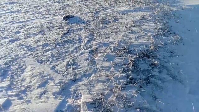 Рыбалка в минус 35. Рыба зараза. 08. 12. 2023. смотреть онлайн