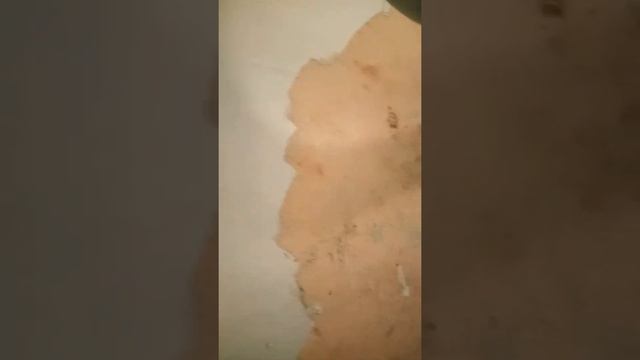 Удаление краски и пятен быстро и легко