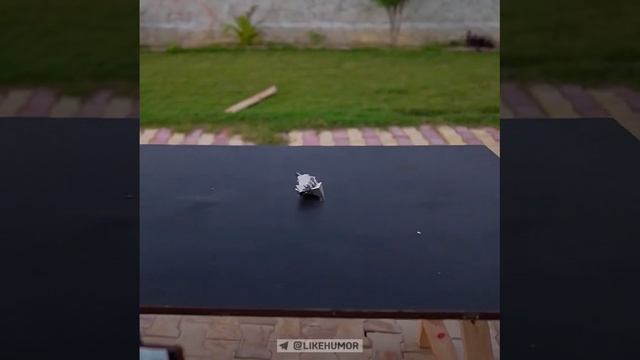 2_5312551868554029592.mp4