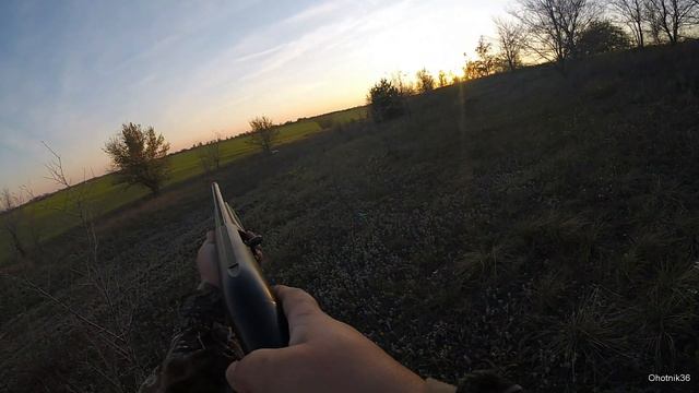 Охота на вальдшнепа. Осень 2019. ч. 1. смотреть онлайн