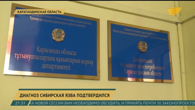 У троих жителей села в Карагандинской области подтвердили диагноз сибирская язва смотреть онлайн