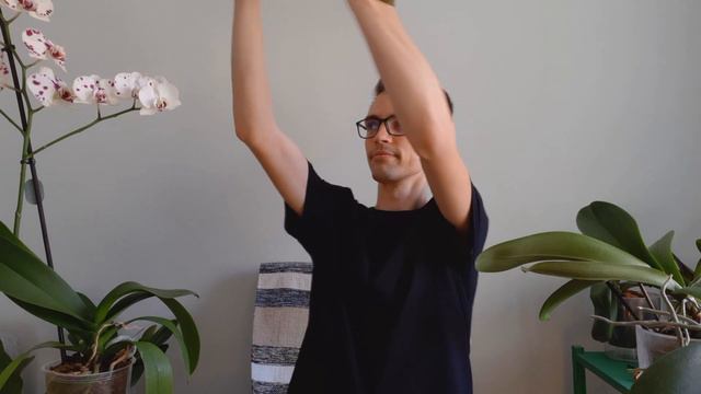 МОЯ КОЛЛЕКЦИЯ ОРХИДЕЙ смотреть онлайн