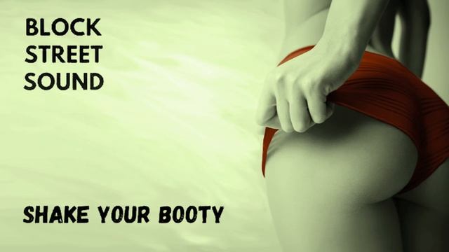 Block Street Sound - Shake Your Booty