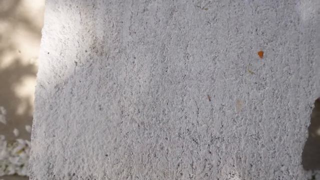 Газосиликатные блоки ОАО Гомельстройматериалы смотреть онлайн