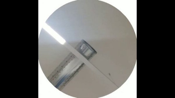 История Jolygolf | видеосообщения телеграмм канала Алексея Шевцова