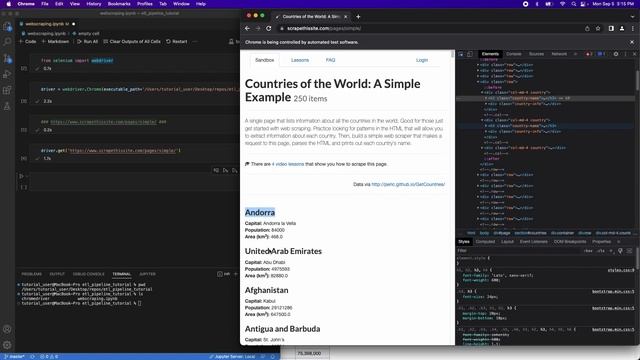 How To Scrape Scrapethissite.com Using Python And Selenium смотреть онлайн