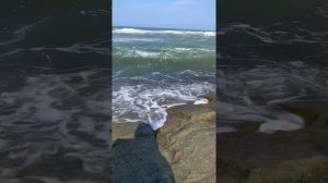 Мухаммад Абу Усама -день Арафа