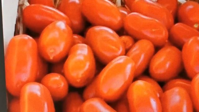 ?Лучшие сорта и гибриды томата для консервирования.??? смотреть онлайн