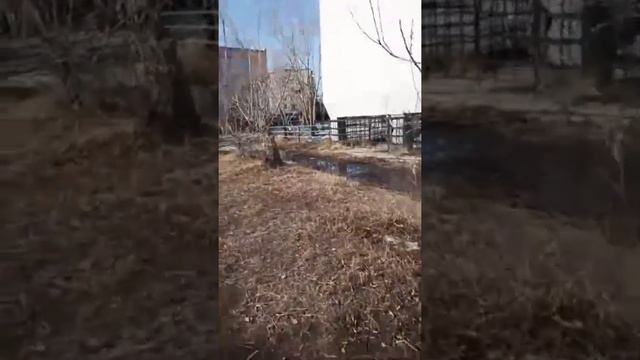 Стрим Пятница Якутск Весна пришла! 30 апреля. смотреть онлайн