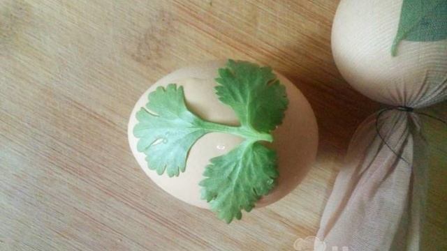 Книга рецептов