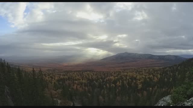 Summertimesadness2020