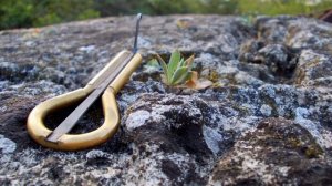 шаманский варган, камлание