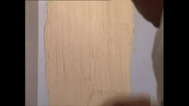 PRO Faktūriniai Dažai FAKTŪRA