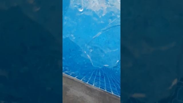 Just ice vol 2 смотреть онлайн