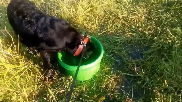Моя вода любимая ты моя)) смотреть онлайн