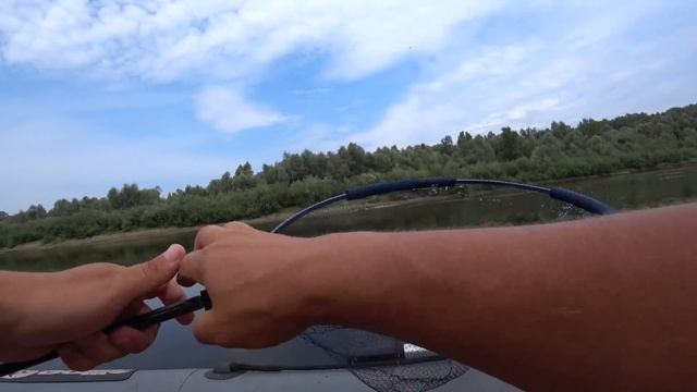 Кормил Горохом, Ловил на Кукурузу. Улов Меня не Удивил смотреть онлайн