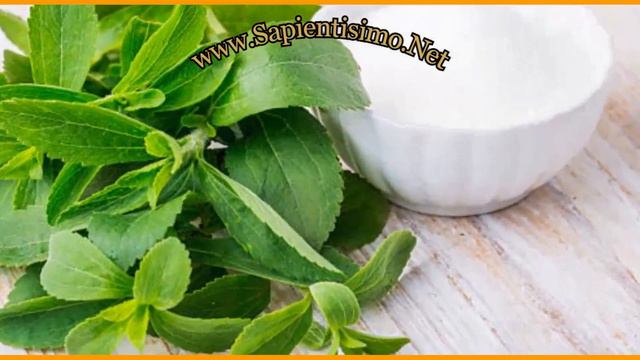 21 Beneficios Del Suplemento De La Stevia