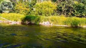 Сплав по реке Буй 17.07.22