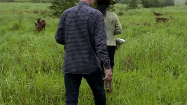 06 смотреть онлайн