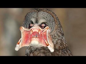 Они Существуют! Невероятные Животные, Которых Открыли Недавно