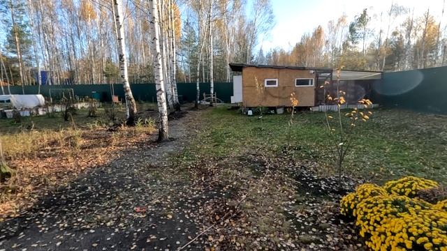 Потери, Болезни, Ошибки.