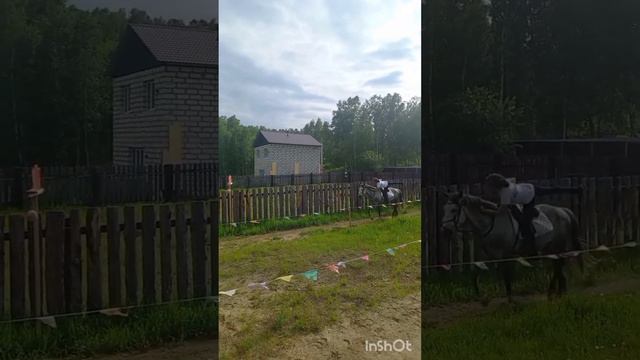 Первое выступление 17.06.23 #коть##Анри#джигитовка#Иркутск# смотреть онлайн