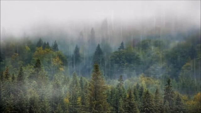 Relaxing music video.raining ,, nature . rest. meditate смотреть онлайн