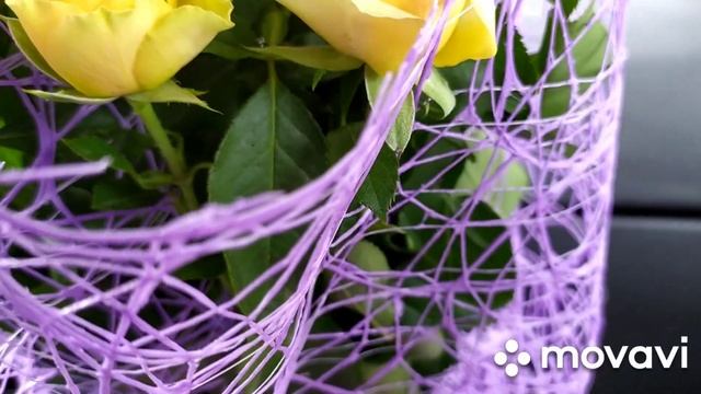 Мой Дорожный Проект Что Я Вяжу В Дороге//Юбилей Сестры смотреть онлайн