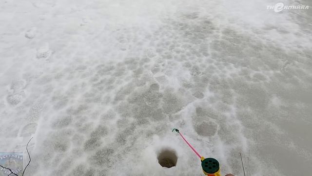 РЫБАЛКА НА РОДНЫХ ПРОСТОРАХ \ Часть 4 \ ЦАРСКАЯ УХА ИЗ ОКУНЯ С ЦАРСКОГО ОЗЕРА смотреть онлайн