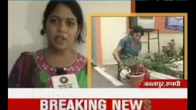 Tomato-Potato all in one plant смотреть онлайн