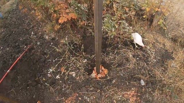 Турник и брусья своими руками смотреть онлайн