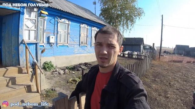 Красавица тёлка // Птичий двор // Переселение семьи смотреть онлайн