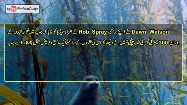 Lost forest of Doggerland - UnderWater Forest смотреть онлайн