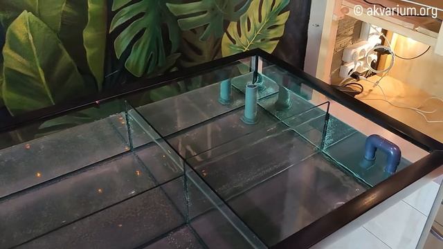 Витрина для устриц 390 литров смотреть онлайн