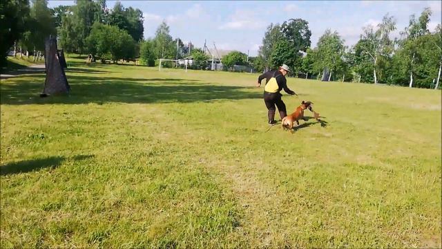 Argentum Teddy, 1st protection training