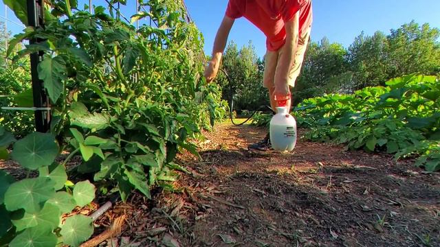 Going Organic: Natural Pest Control Methods for Your Crops смотреть онлайн