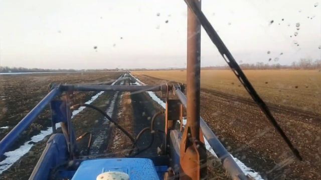 состояние озимого ячменя,, БАЗАЛЬТ,, на 23.02.23г заложили опыт на жизнеспособность смотреть онлайн