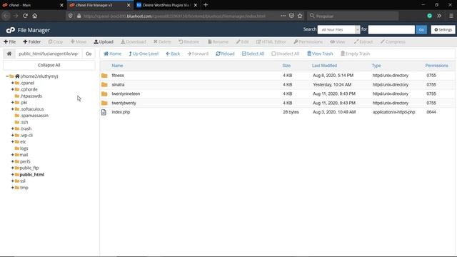 How To Delete WordPress Plugins or Themes Without Access To Dashboard? смотреть онлайн