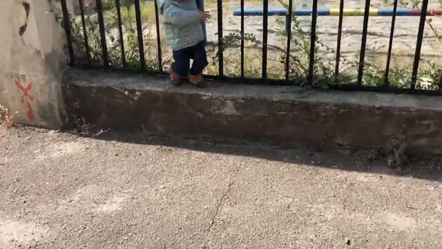 Марго гуляет в парке; Куда дальше? смотреть онлайн