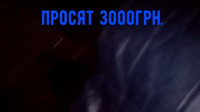 СВИННОЙ РЫНОК. Цены на маленькие поросята. смотреть онлайн