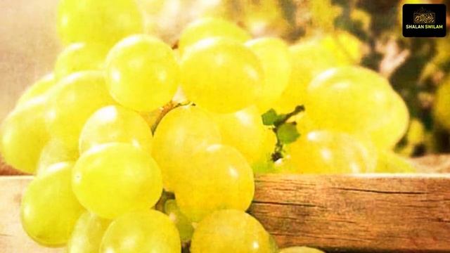 النساء الخبيـرات فى الجنس | لماذا كانت تضع فص ثوم ، بفم زوجها على الريق ؟ смотреть онлайн