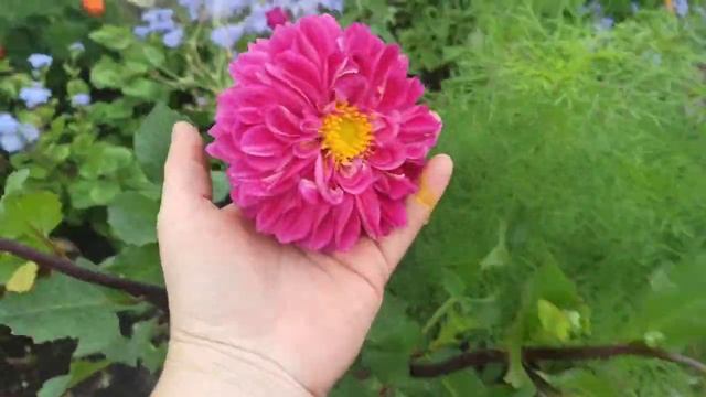 Купили дачу # Преображение продолжается #Ставим забор#Уют в дачном домике# смотреть онлайн