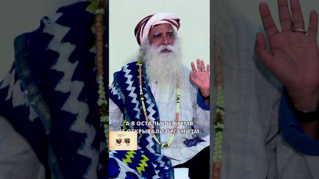 Связь между питанием и продолжительностью жизни смотреть онлайн