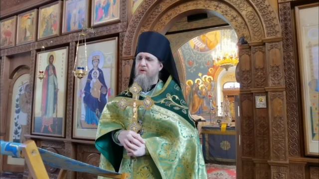 Проповедь в праздник Входа Господня в Иерусалим. 09.04.2023 смотреть онлайн