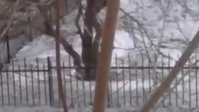 Челендж ( не на глаз :) мне в конце стало плохо смотреть онлайн