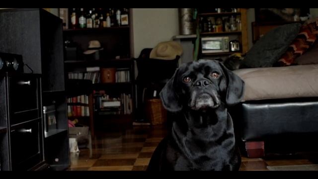 soligor 28mm f 2.8 смотреть онлайн