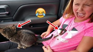 СМЕШНЫЕ ЖИВОТНЫЕ 2023 ЛУЧШИЕ ПРИКОЛЫ С КОТАМИ И CОБАКАМИ